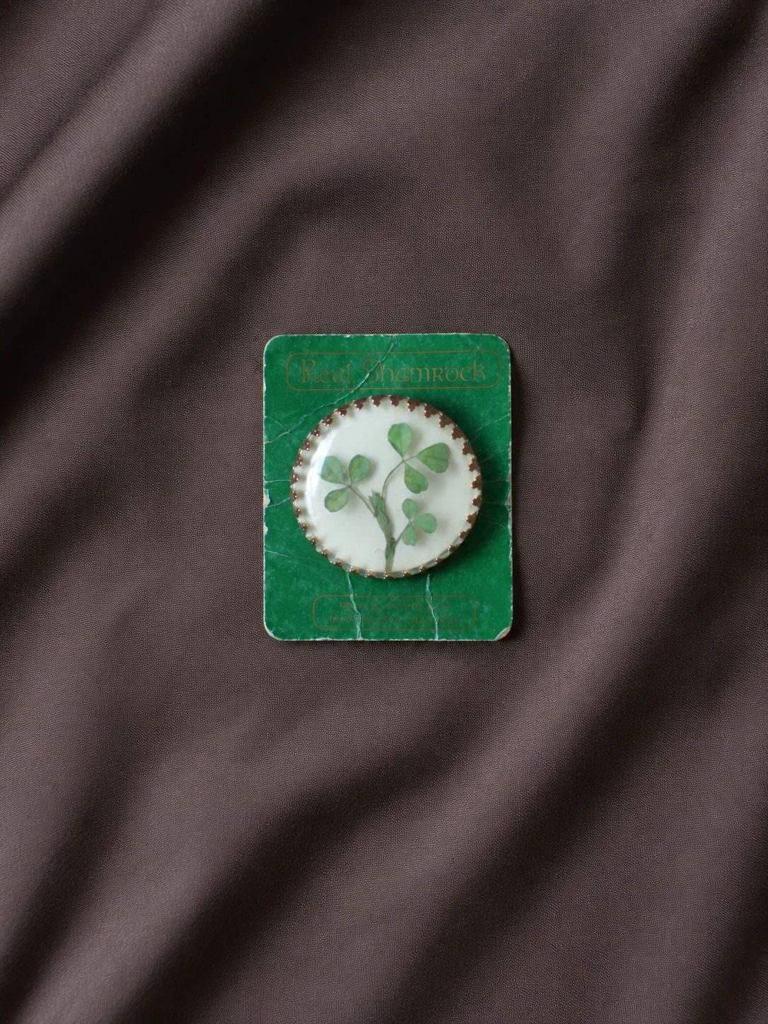 Shamrock Brooch, Pressed Clover Under Glass