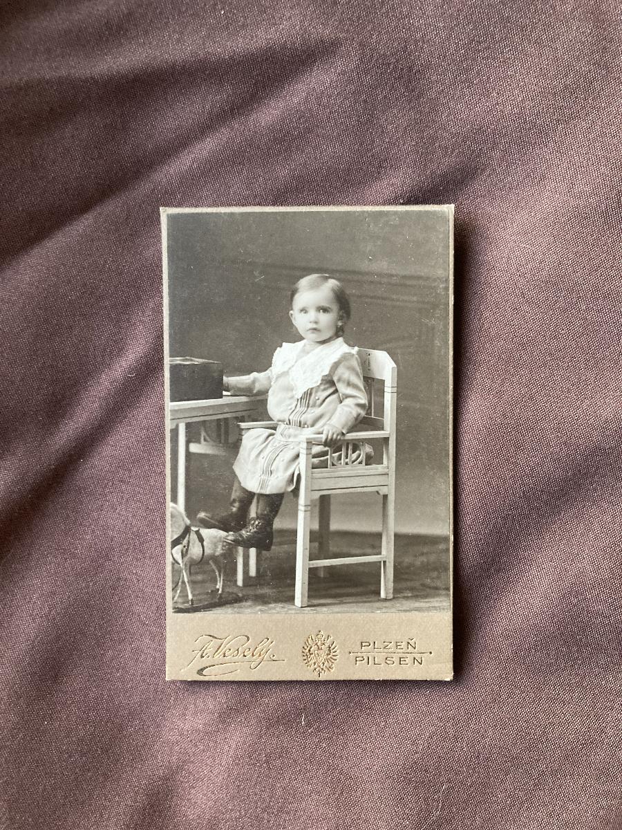 F. Vesely - Boy with a Rocking Horse photo 3
